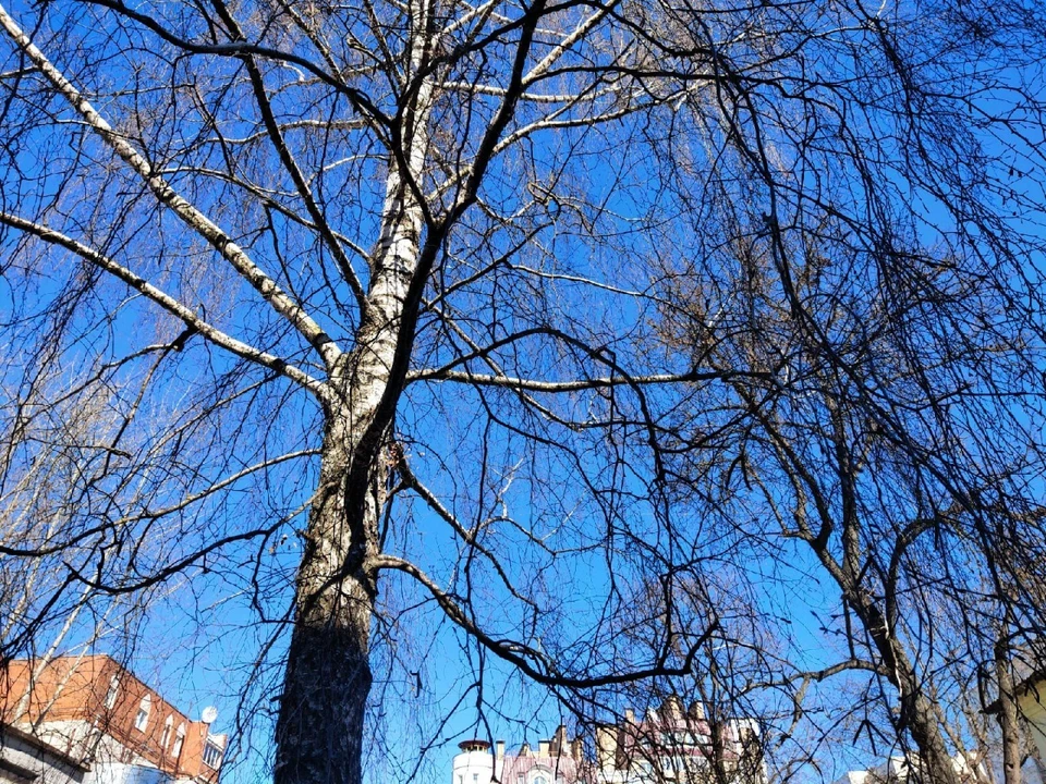 Т-парк калужская область. Угранский заповедный парк. Калуга весной. Природный парк ивановское калужская область. Калужская область март.