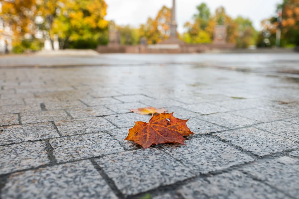Тепло может побить суточный рекорд в Петербурге столетней давности 10 ...