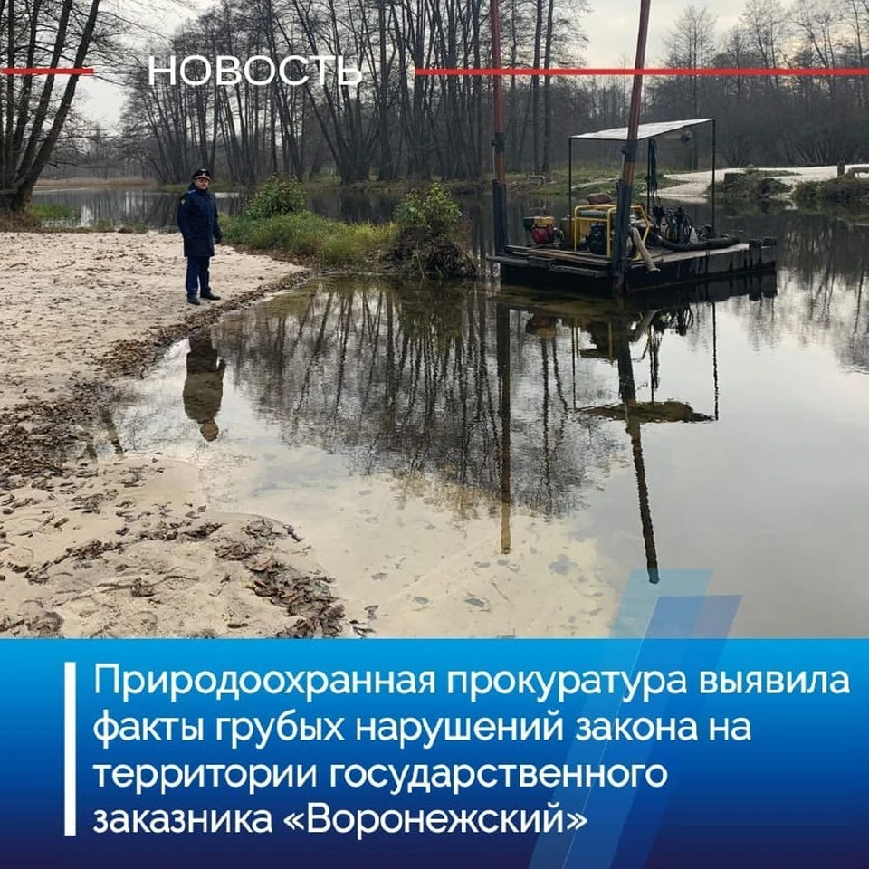 Сотрудники природохранной прокуратуры обнаружили грубейшие нарушения закона при проверке в заказнике "Воронежский".
