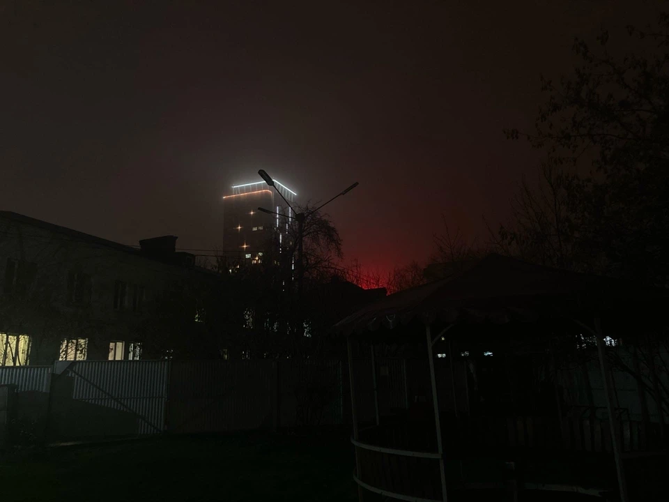 Фото: Гужавина Алина