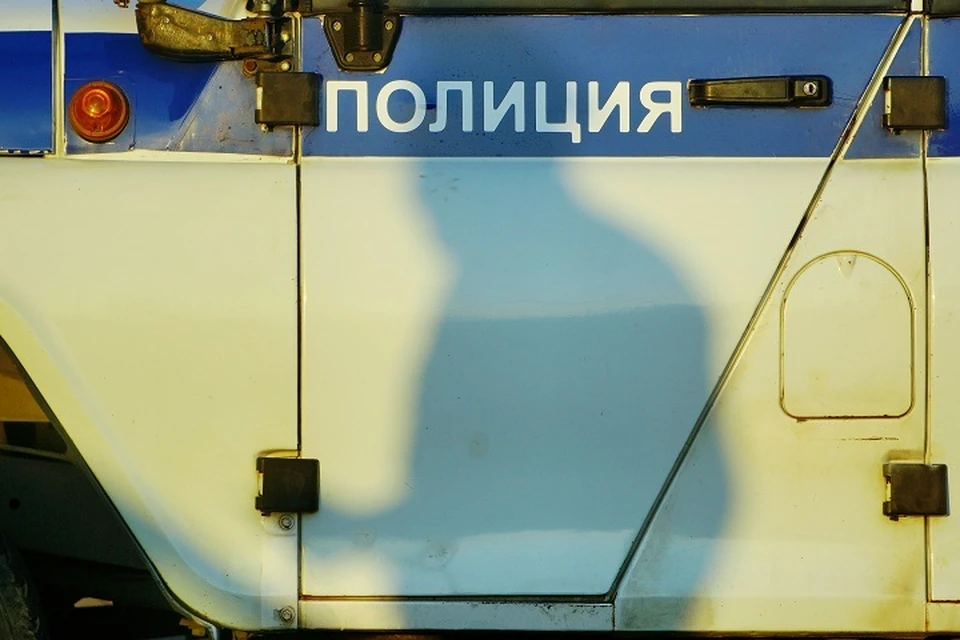 Молодой человек объяснил, что пошел на преступление из-за желания покататься