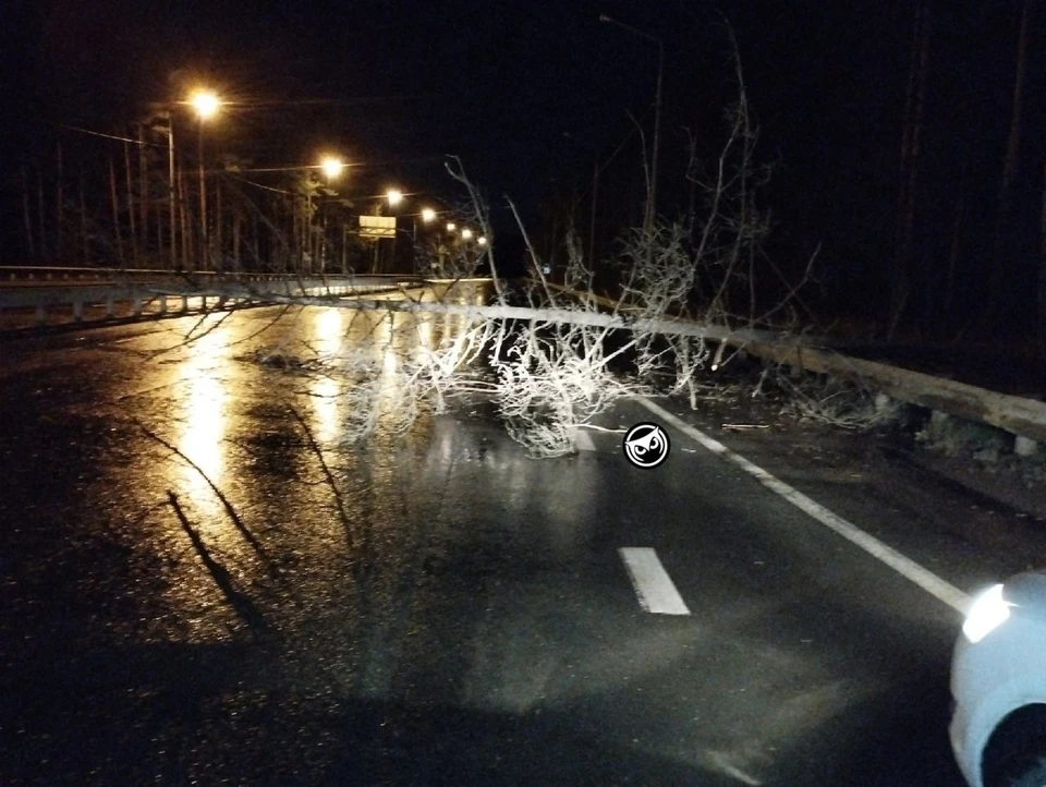 Фото: социальные сети