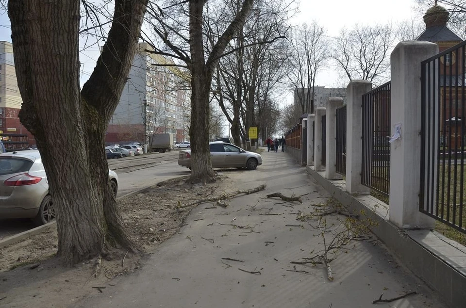 Туляков предупредили об усилении северо-западного ветра до конца 13 ноября