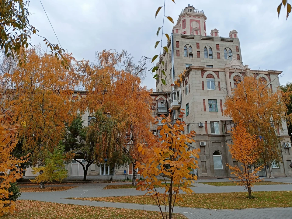 Осадки в ближайшие сутки не ожидаются