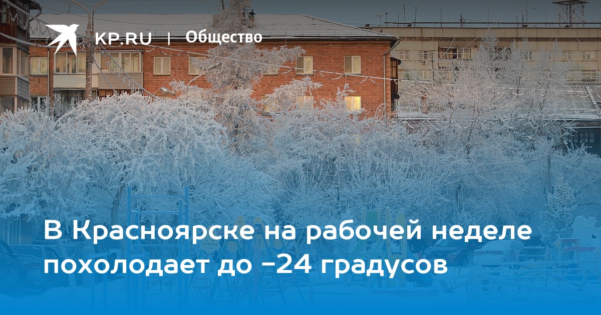 Градусы красноярск. Снег какой. Снег в Красноярске. 20 Ноября снег 2022 в Красноярске. В этом году будет Снежная зима.