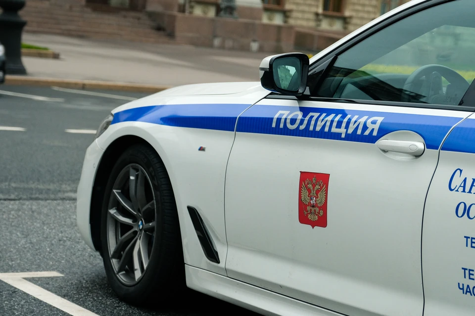 Полиция задержала троих подростков за ограбление мужчины на Садовой улице.