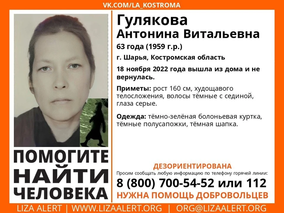 Фото: ДПСО "Лиза Алерт" Костромской области