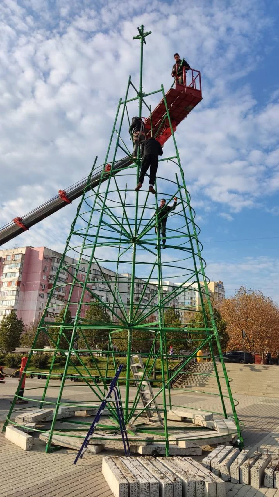 В городе начали установку праздничных елок