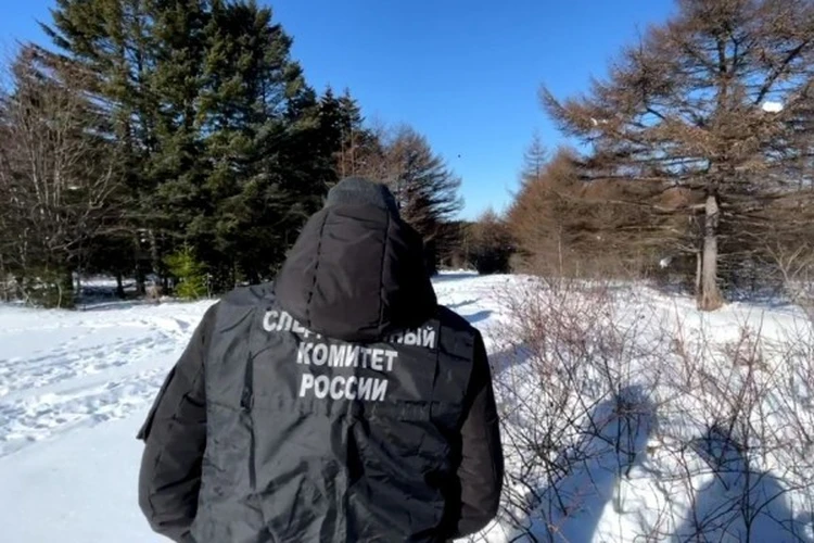 В Сахалинской области раскрыли убийство 19-летней давности