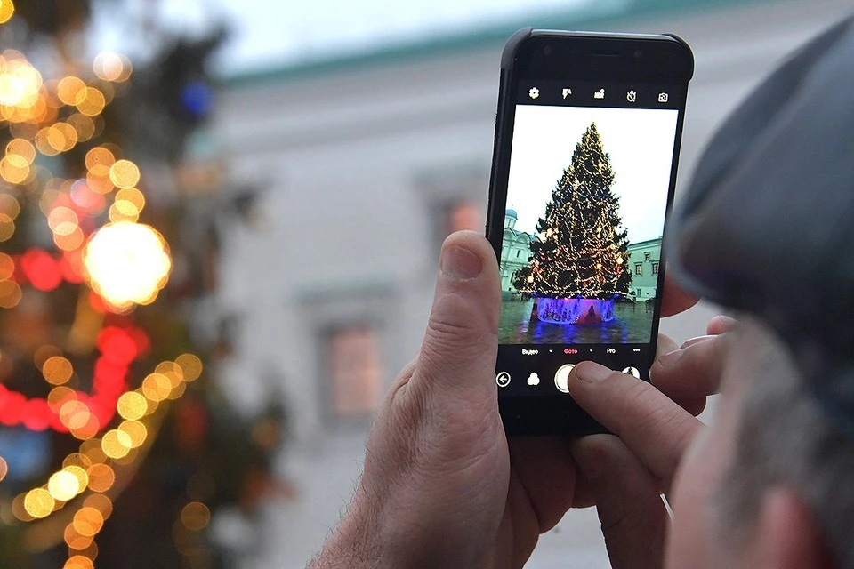 Главную елку страну по традиции поставят на Соборной площади Кремля