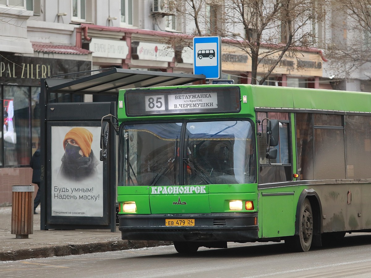 В Красноярске водитель автобуса курил и отвлекался на телефон за рулем -  KP.RU