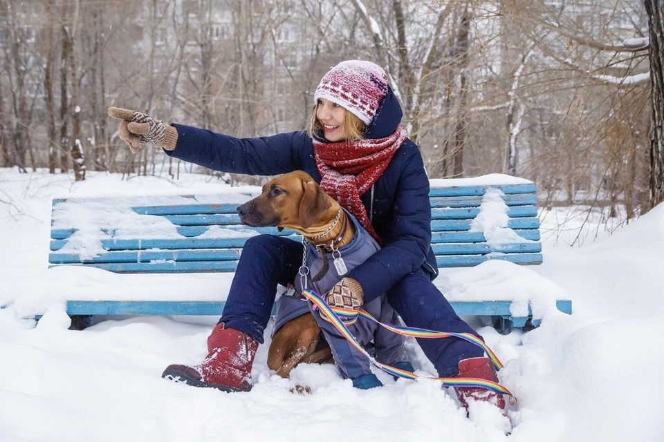 В городе объявили конкурс на лучшее украшение территории