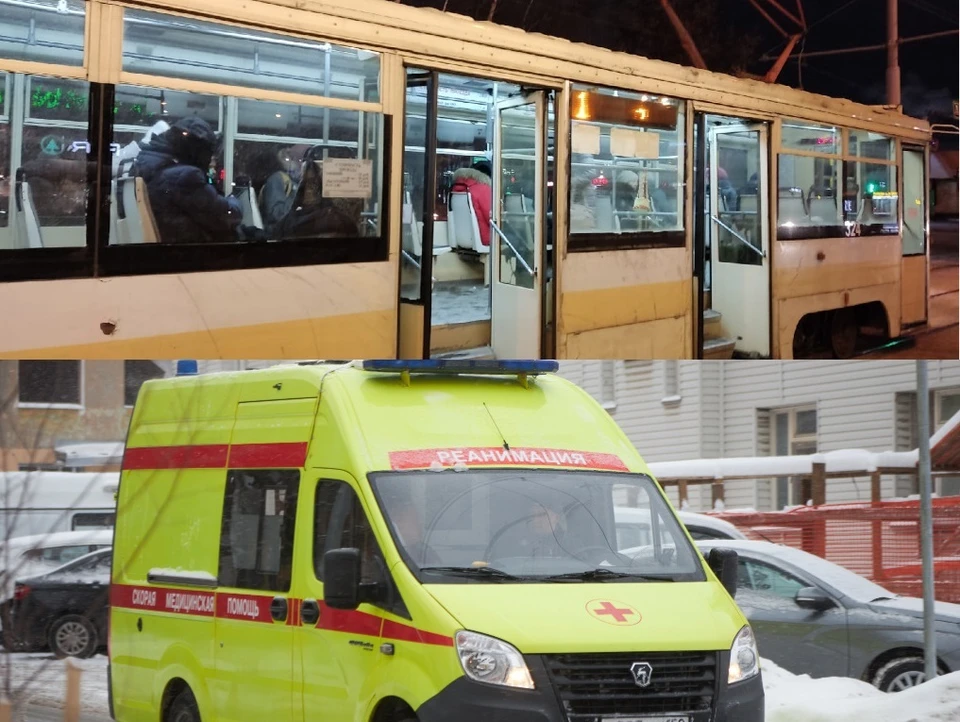 Фото: Анна Ковалева «МК в Томске» / Николай Оберемченко