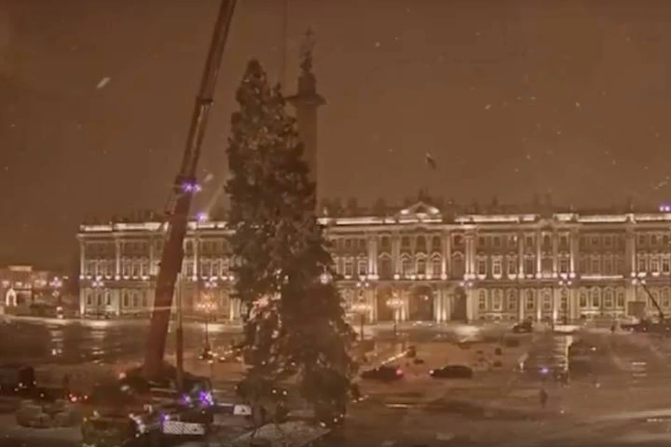 Главную новогоднюю ель Петербурга устрановили на Дворцовой площади