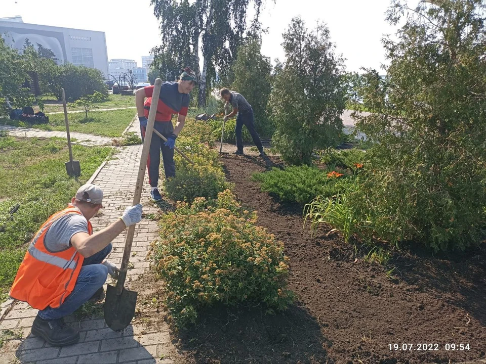 2 394 дерева и 3 150 кустарников высадили волонтеры, различные организации и предприятия в ходе акций по озеленению.