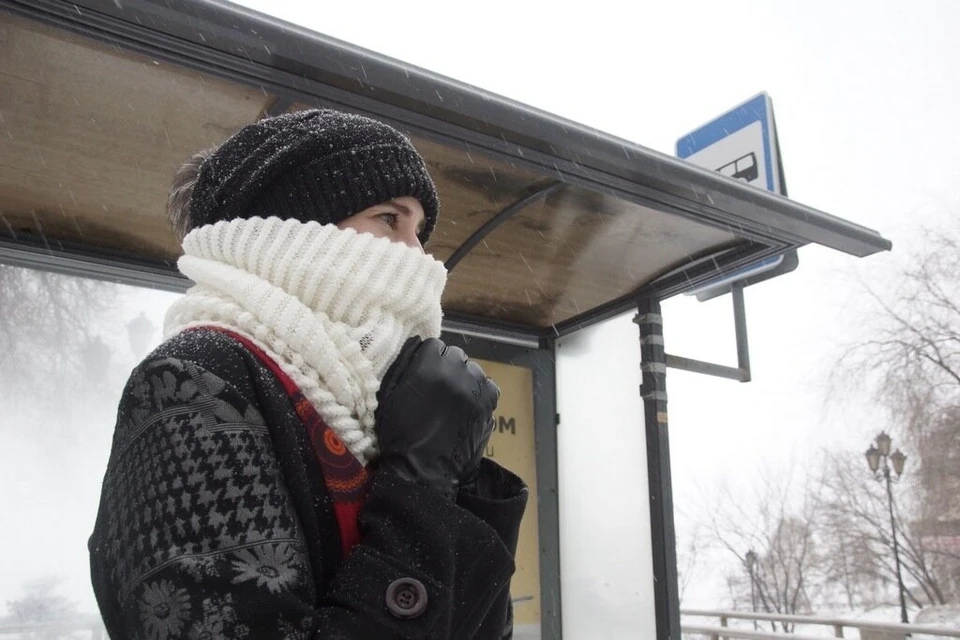 В регионе усилится южный ветер