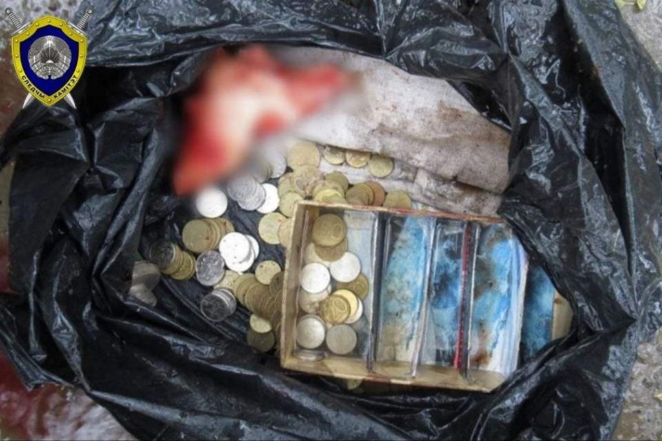 Пьяный минчанин с психическим расстройством убил заготовителя металла ради денег. Фото: УСК по Минску