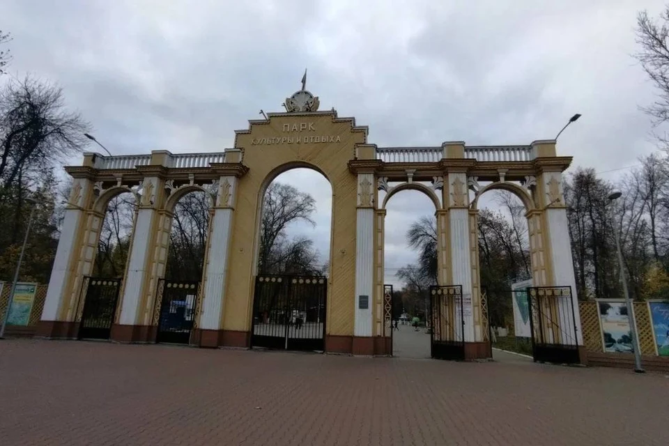Пострадавший от пожара кинотеатр «Родина» в Автозаводском парке планируют воссоздать