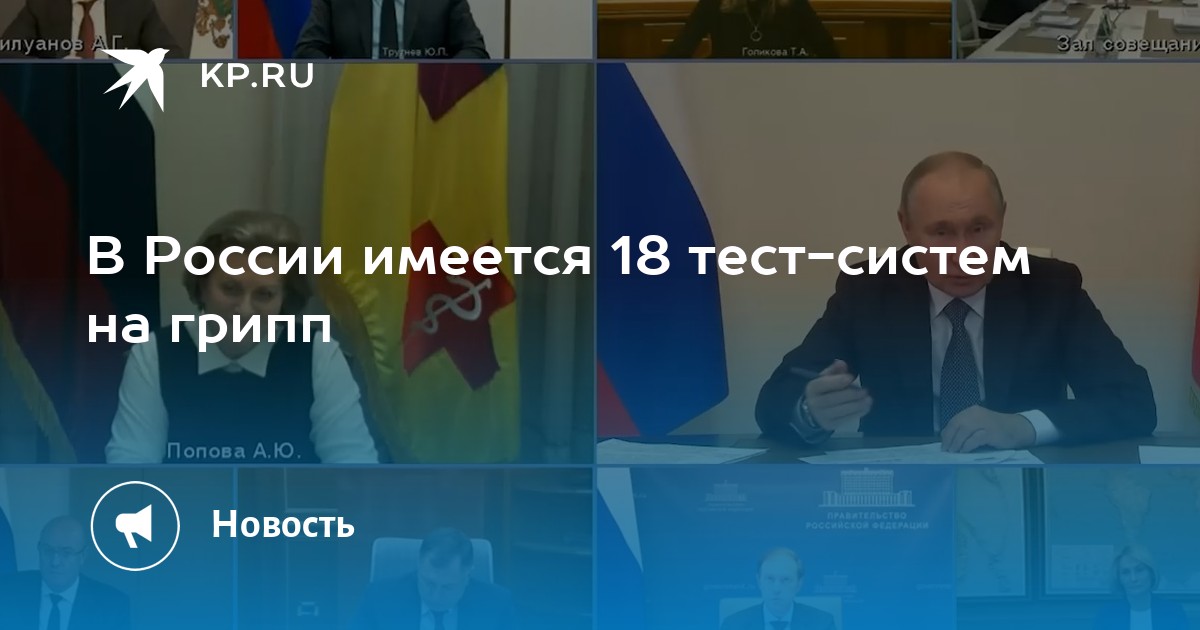В России имеется 18 тест-систем на грипп - KP.RU