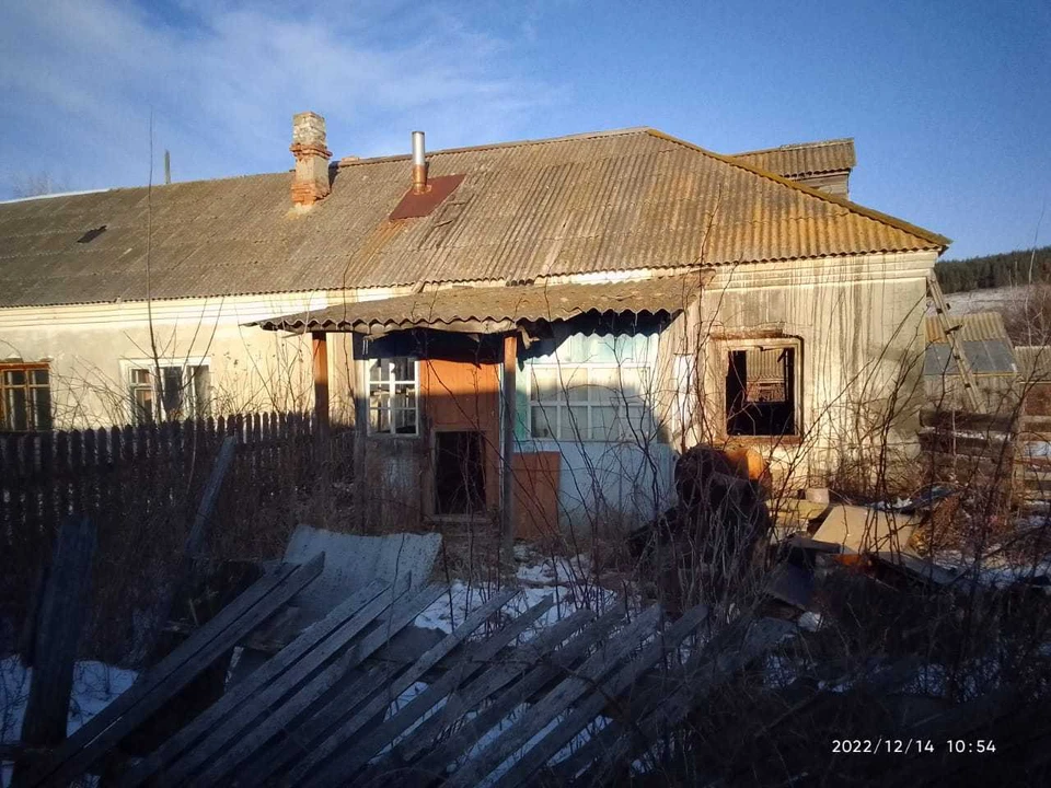 мать и сын спаслись из горящего дома