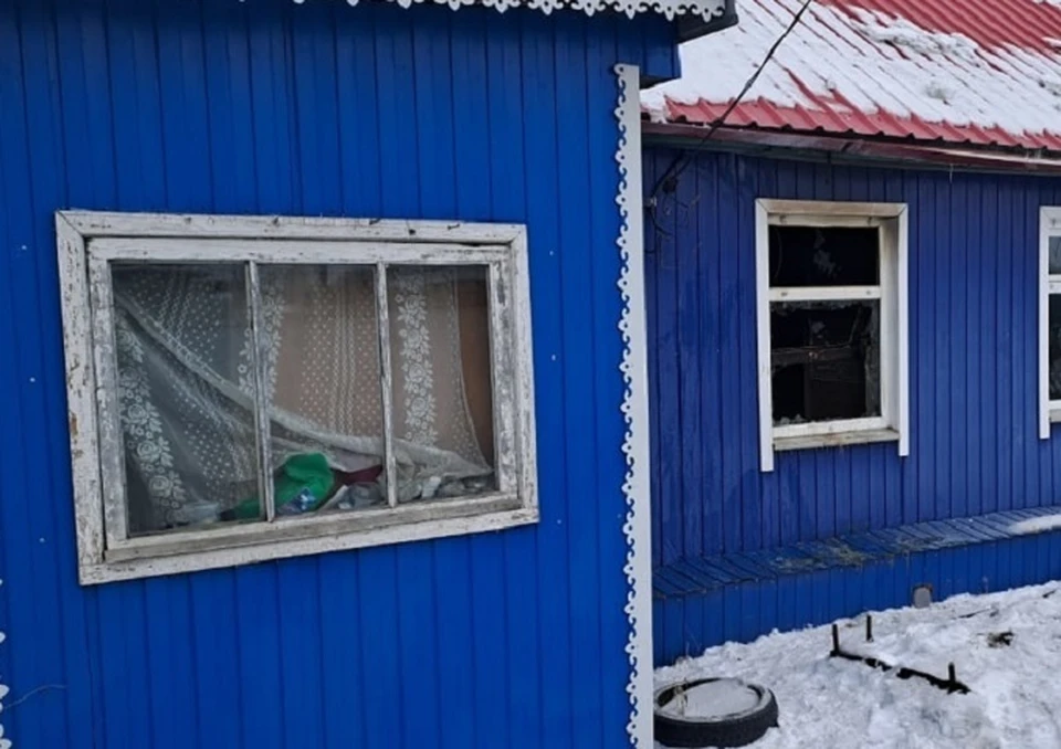 Женщина собирала кошек и селила их в дачном домике, чтобы не замерзли на улице