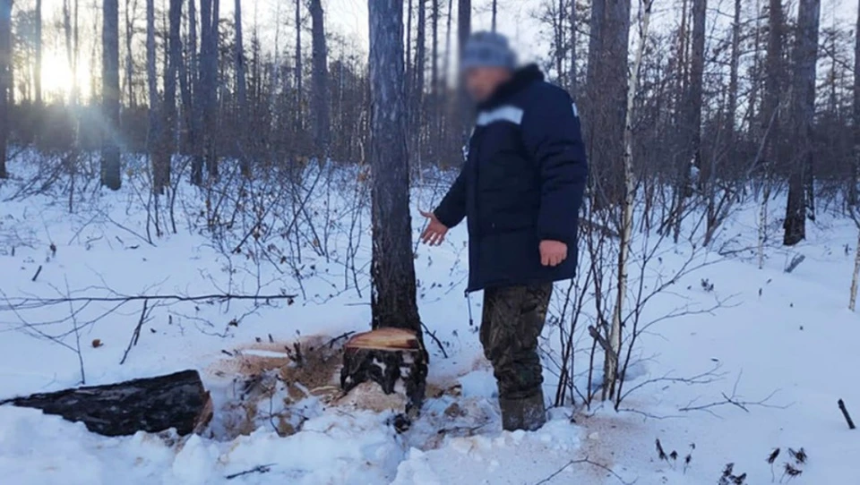 Фото: следственный комитет Амурской области