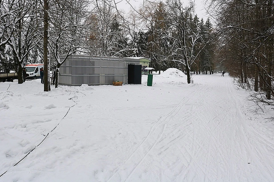 Центральный парк 1000 летия брянска. Верхнепышминский парк культуры Лыжня. ЦПКО весной. Парк 1000 тия Брянск зима. Курган бессмертия Брянск зимой.