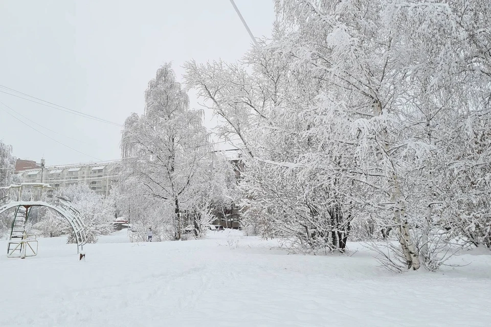 В выходные погода будет неустойчивой.