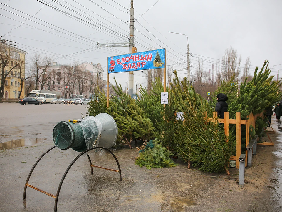 Фото с сайта мэрии Воронежа