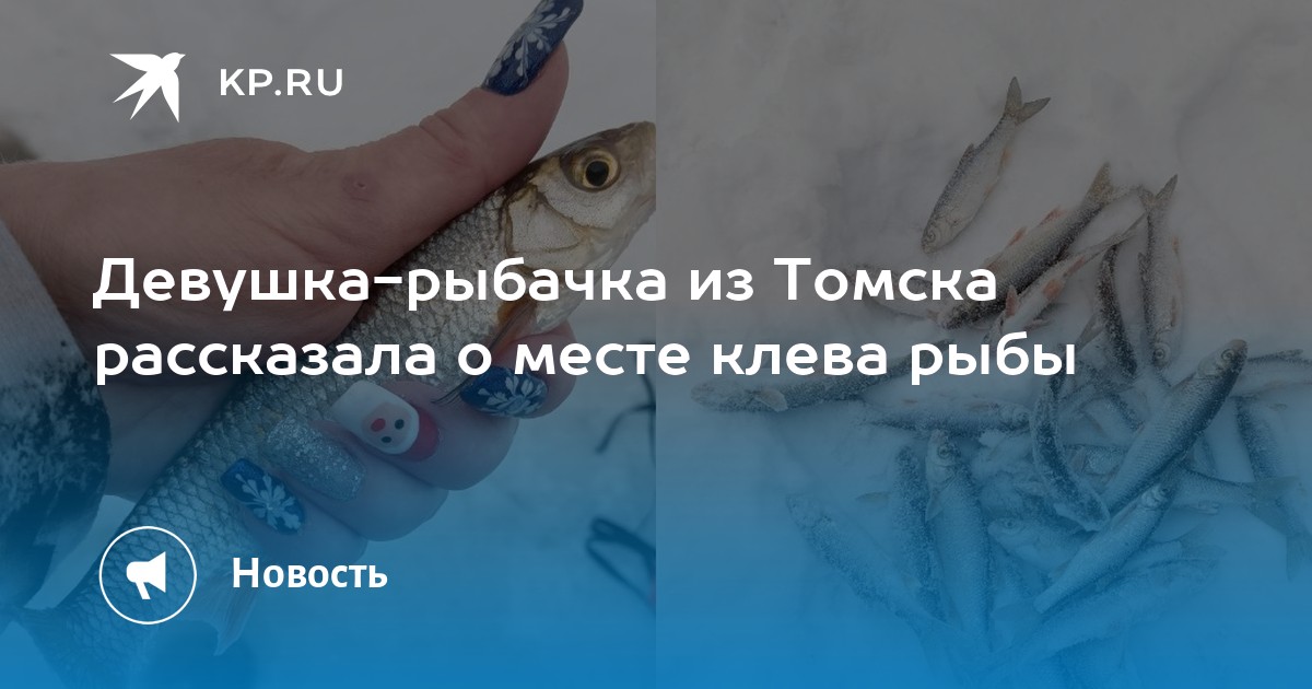 Информация о клеве рыбы в Томске