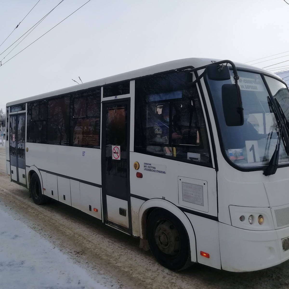 Стало известно, как будет ходить общественный транспорт в Костроме в  новогодние праздники - KP.RU