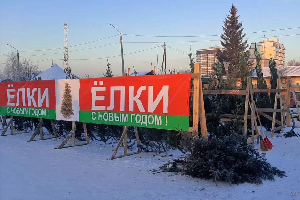 На елочных базарах можно купить подставки для елок и ветви