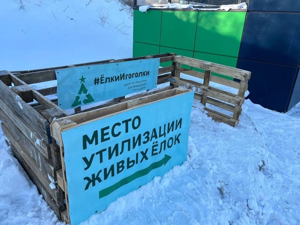 Фото: Комитет охраны окружающей среды и природных ресурсов г.Новокузнецка