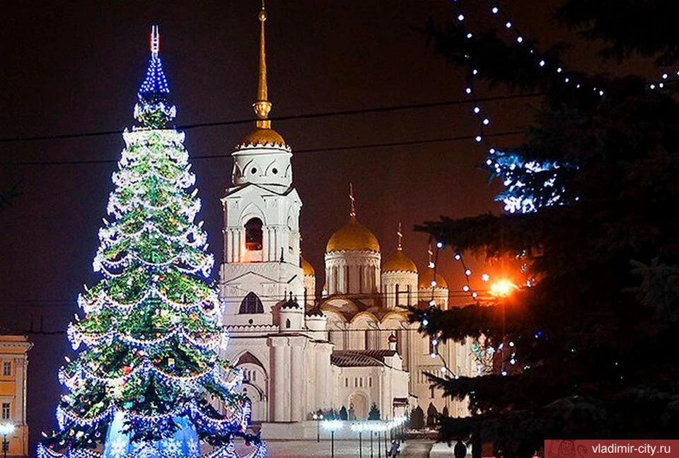 Фото: администрация города Владимира