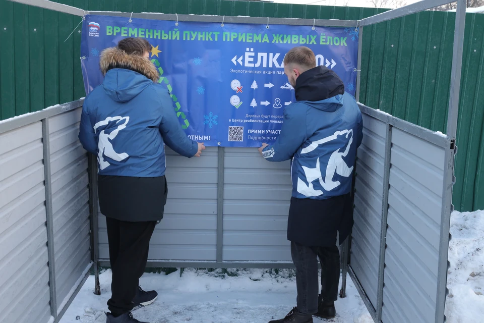 Пункты приема живых ёлок для переработки открылись в Нижнем Новгороде. Фото: нижегородское региональное отделение "Единая Россия"