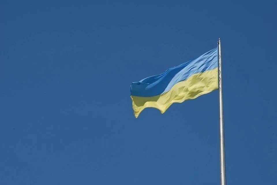 Немецкий политолог Меллинг заявил, что Украина не сможет вернуть территории Крыма и Донбасса