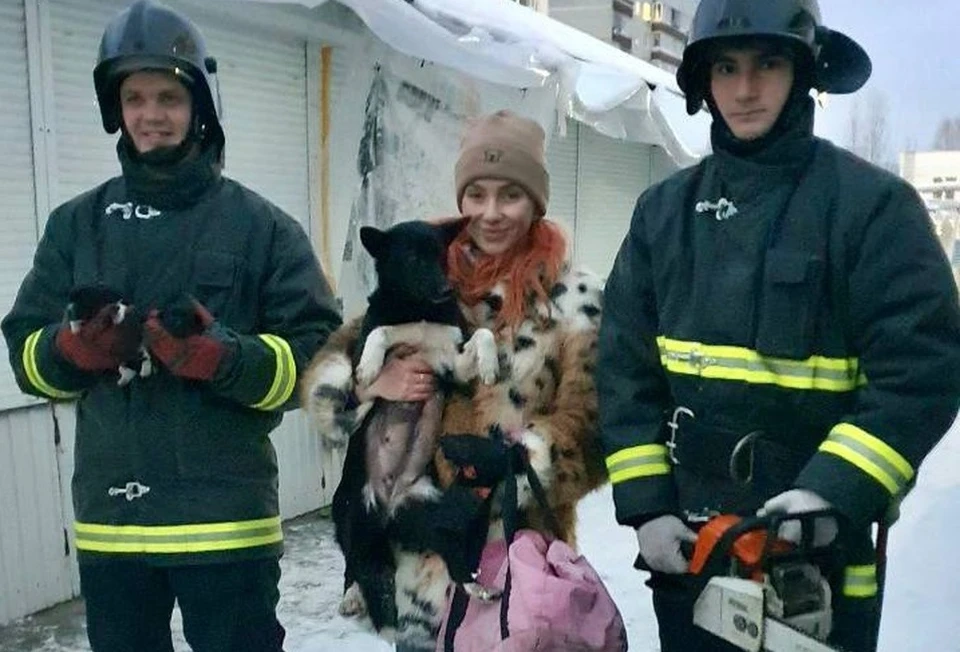 Татьяна рассказала чудесную историю спасения новорожденных щенков, застрявших под рыночным контейнером в лютый мороз. Фото: Предоставлено КП - Ульяновск.