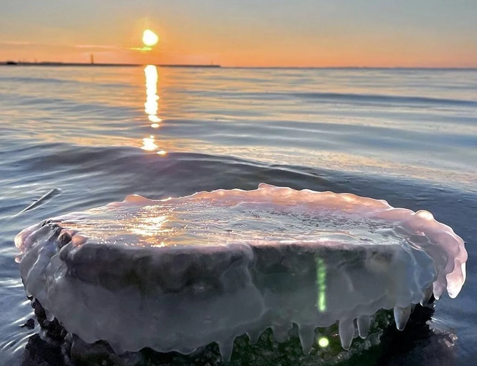 Море начало леденеть. Фото: https://t.me/more_zov
