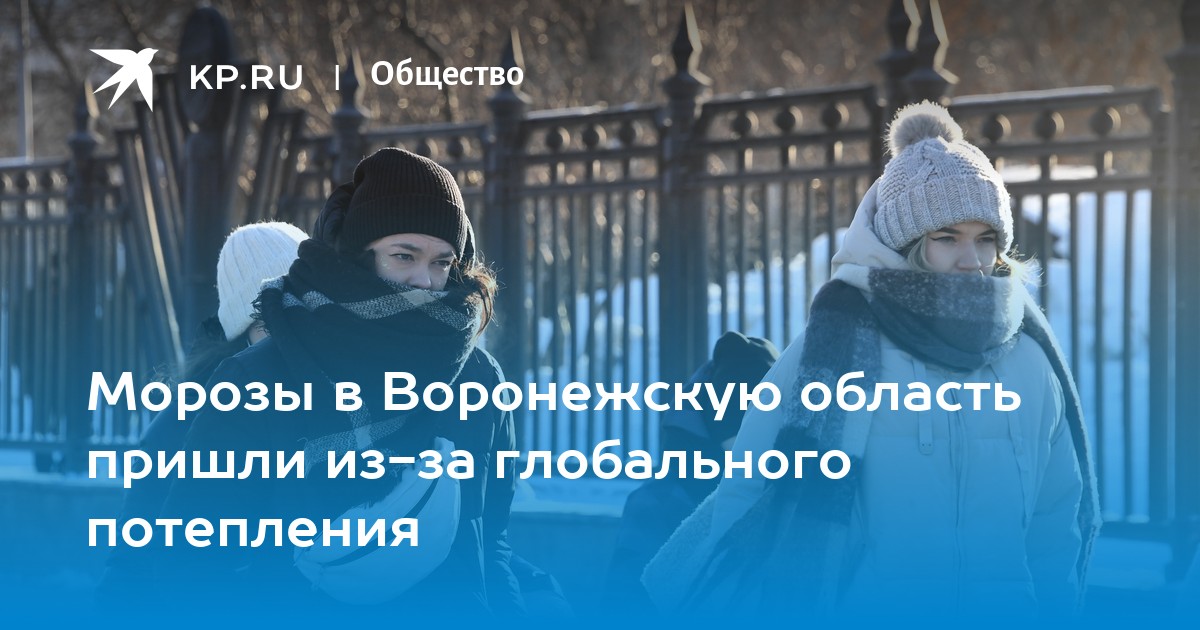 В виду сильных морозов занятия отменены. Лютый Мороз. Потепление зимой. Морозы в Москве. Потеплело зимой.