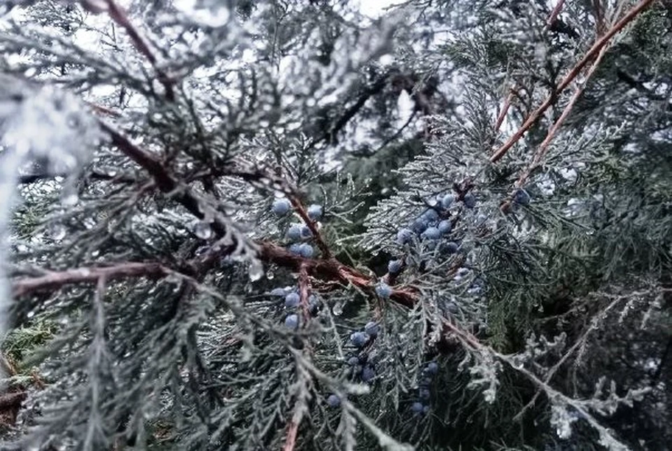 В Белгородской области ожидается облачная с прояснениями погода
