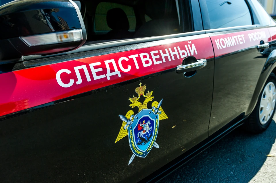 Инцидент случился 15 января в квартире на Заневском проспекте
