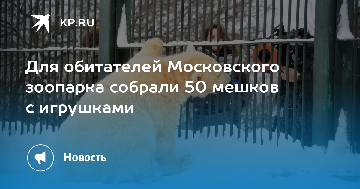 Обитатели московского зоопарка фото с названиями