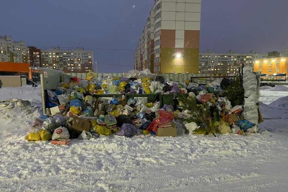 Контейнерные площадки на «Чистой Слободе» полностью завалены мусором. Фото: "АСТ-54"