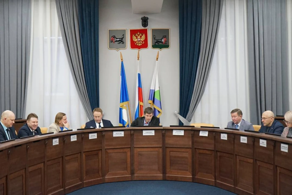 Постоянная комиссия Думы Иркутска обсудила строительство новых школ и детских садов.