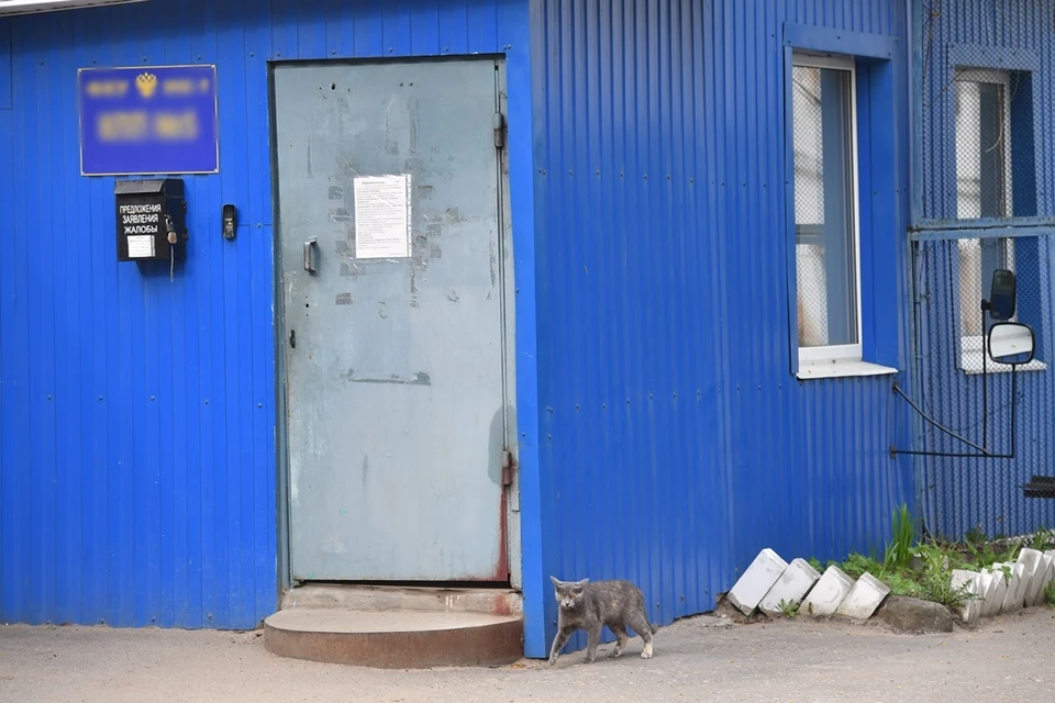 В 2022 году поступило 70 ходатайств о помиловании.