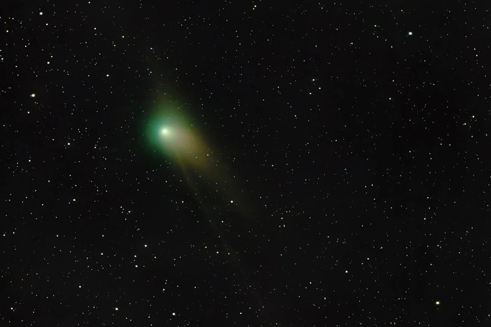 У кометы ярко-зеленая голова. Фото: Алексей Поляков.