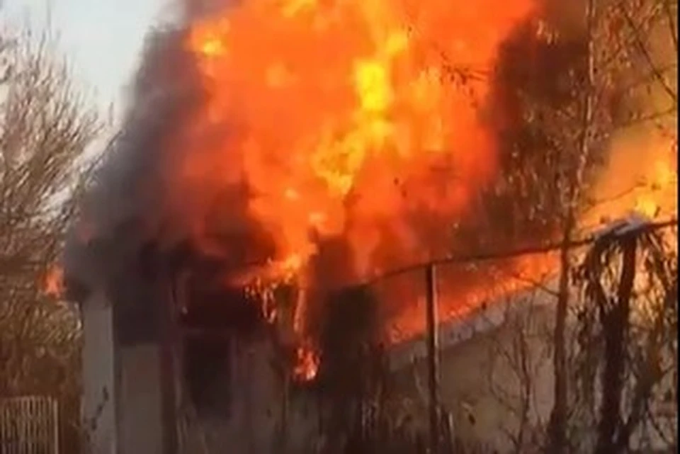 В огне пожара в Тепловке сгорели пятеро животных. Фото: скрин видео