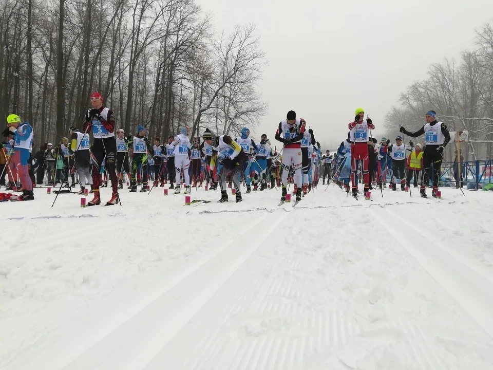 Лыжный марафон состоится на территории УСЦ "Чайка" в Управленческом