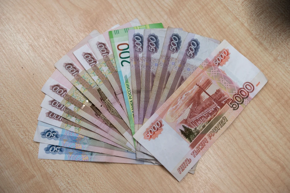 "Народным" петербуржцам будут платить по 30 тысяч рублей ежемесячно.