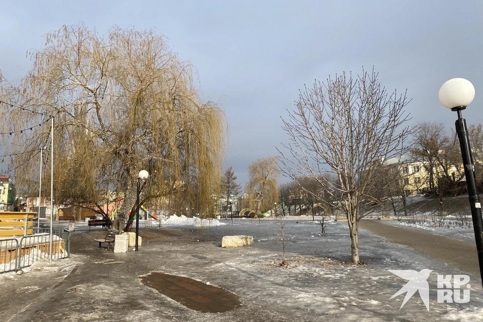 В Рязанской области потеплеет до 0 градусов 26 января.